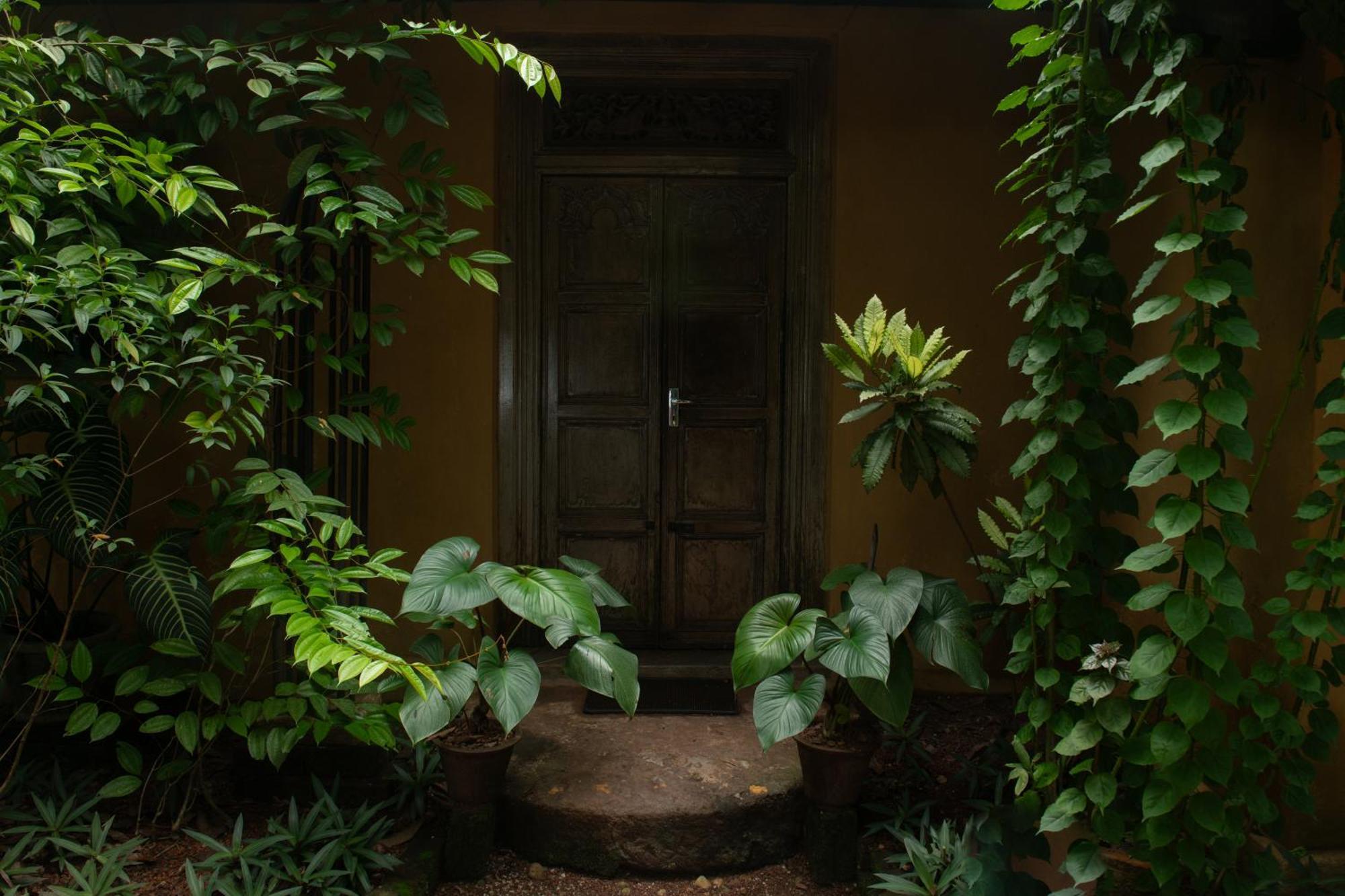 Casa Heliconia Hotel Gampaha Exterior photo